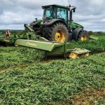 Farmer chops alfalfa for hay. Dairy cropping systems that include alfalfa, a perennial legume, in the rotation help the soil improve in between corn silage production.