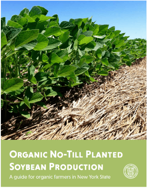 picture of front cover of the Organic No-Till Plant Soybean Production guide. The photo shows green soybean plans and a rolled rye cover crop with blue sky 