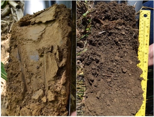 soil side by side