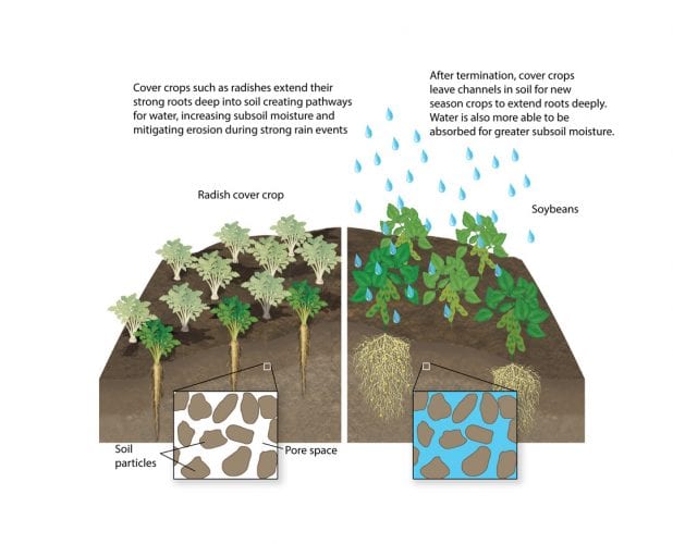 Soil compaction mitigation