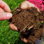 Hands Soil Roots Channels