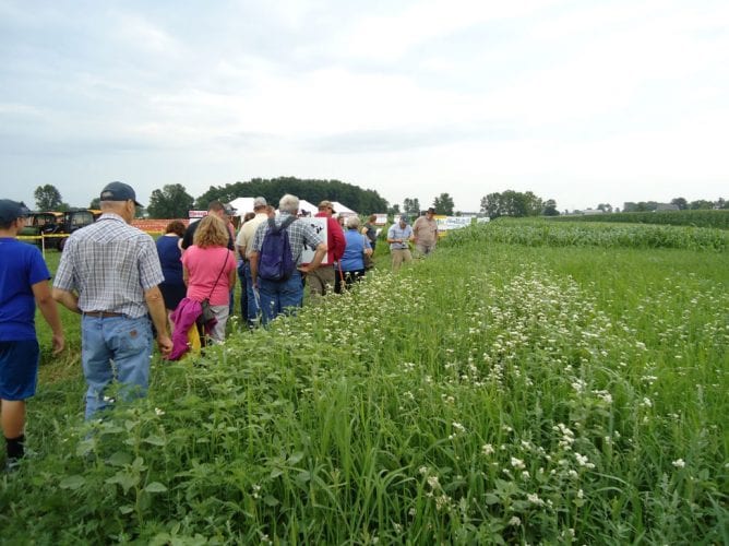 Visitors take a tour of the cover crop trials planting at the 2018 Empire Farm Days