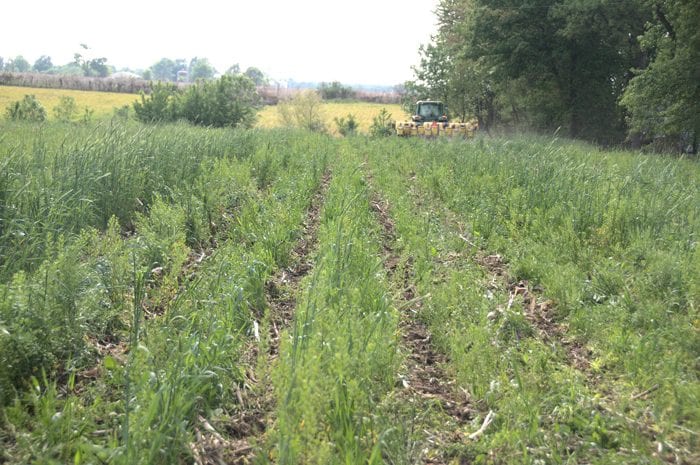 Planting into Cover crops