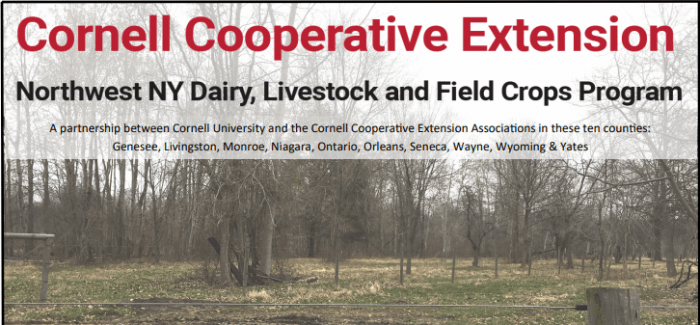 Cornell Cooperative Ext Pasture Walk June 1