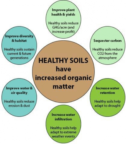 health soils have increased organic matter