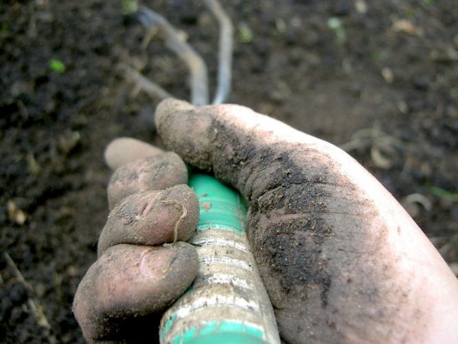 soil and hand rake