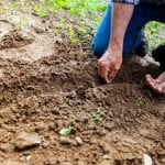 soil with person planting