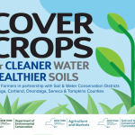 cover crops for cleaner water and healthier soils