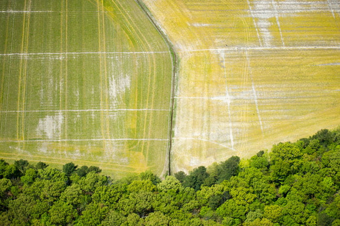 aerial view of agricultural fields growing cover crops in Maryland