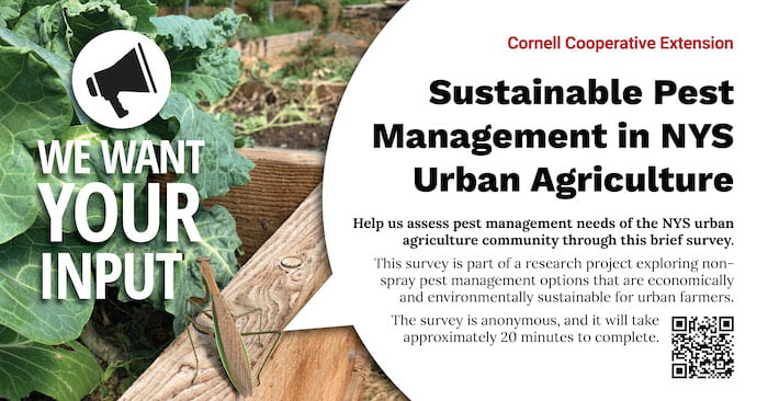 flyer asking for input on sustainable pest management in NYS, garden image with kale leaves and a large praying mantis