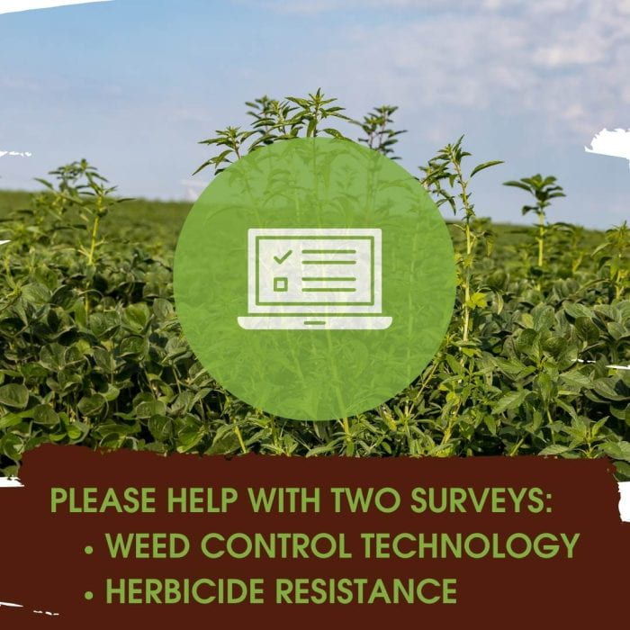 agricultural field with waterhemp growing in it and text on the bottom that says "Please Help With Two Surveys: Weed Control Technology Herbicide Resistance"