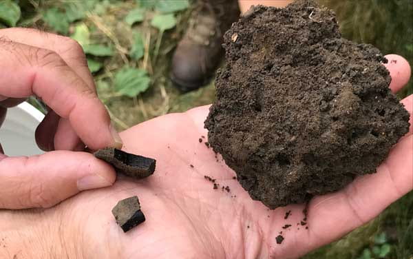Clump of soil mixed with biochar from an orchard