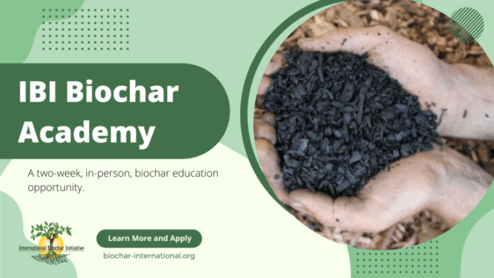 International Biochar Initiative First Biochar Academy flyer