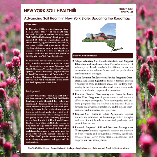 Image of first page of New York Soil Health Policy Brief winter 2022