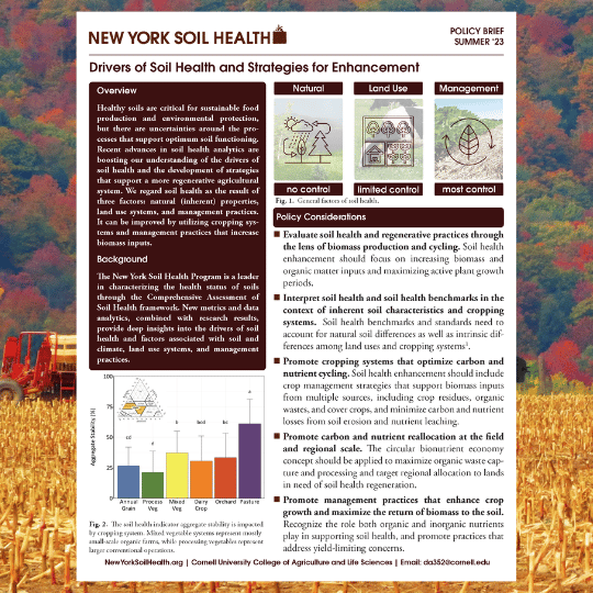 Image of first page of New York Soil Health Policy Brief summer 2023