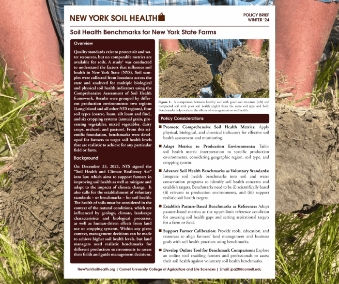 Front page of Winter 24 policy brief with background image of hands holding examples of healthy soil on the left and poor soil health on the right